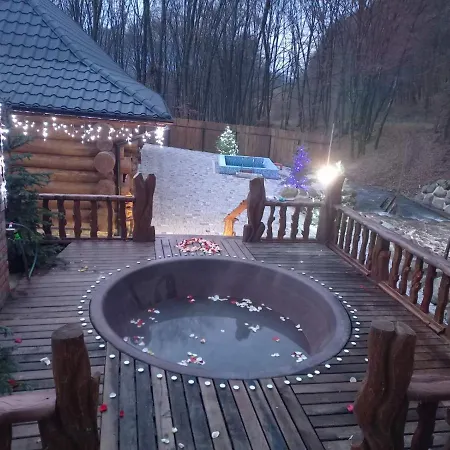латориця *